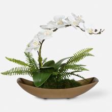  60207 - Uttermost Transcend Orchid Centerpiece