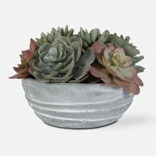  60212 - Peoria Succulent Accent