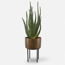  60217 - Arabia Aloe Planter