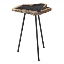  25461 - Mircea Petrified Wood Accent Table