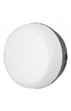  165FM-LR15W-BK - MARLEX CEILING A19 LED