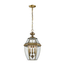  8603EH/89 - Thomas - Ashford 12'' Wide 3-Light Outdoor Pendant - Antique Brass