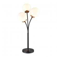  D4582 - FLOOR LAMP